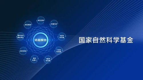 多維度人工智能檢索 基礎(chǔ)軟件開發(fā)結(jié)題報(bào)告與科研領(lǐng)域發(fā)展